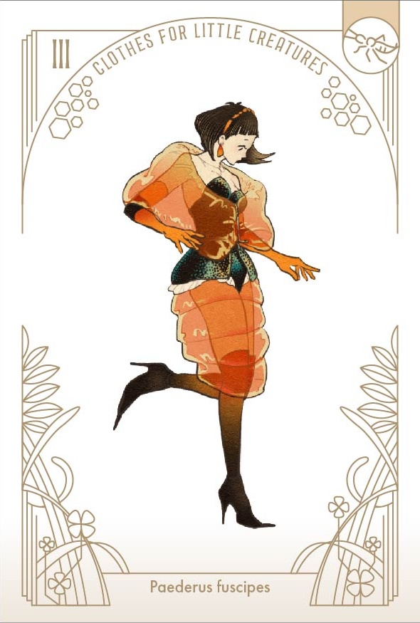 「虫の装い」ポストカードセット(12枚1セット)