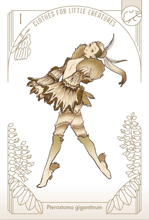 「虫の装い」ポストカードセット(12枚1セット)