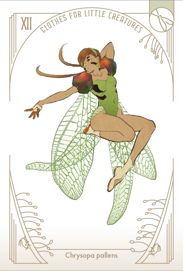 「虫の装い」ポストカードセット(12枚1セット)