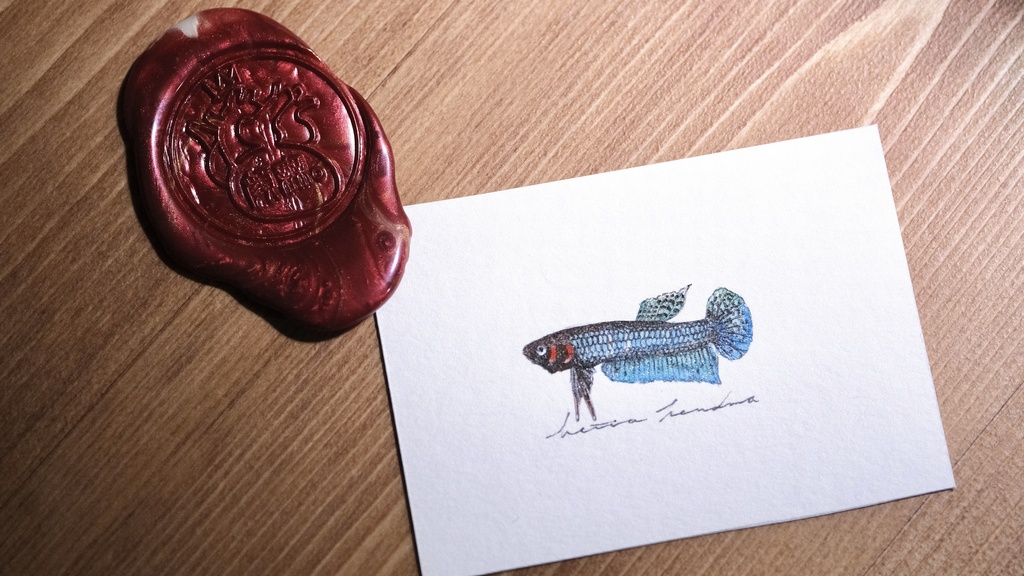 betta hendra。