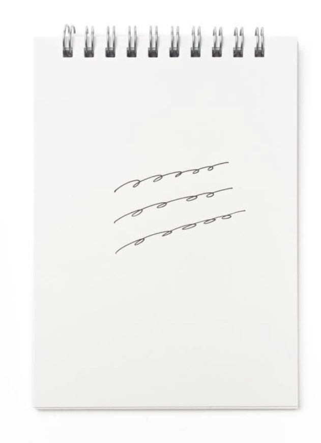 お馬さんメモ帳!【白馬非馬なんて、誰が言ったんだい?ヘイ、公孫竜!】