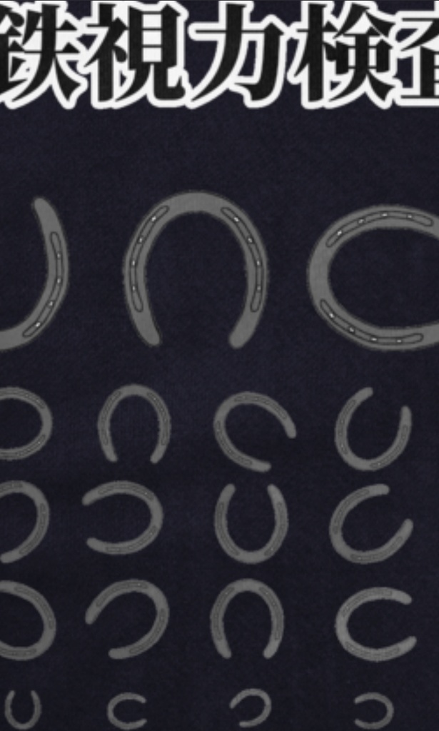 蹄鉄視力検査ジップパーカー!(厚手)