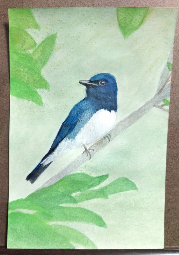 【1点もの】原画　オオルリ　水彩画