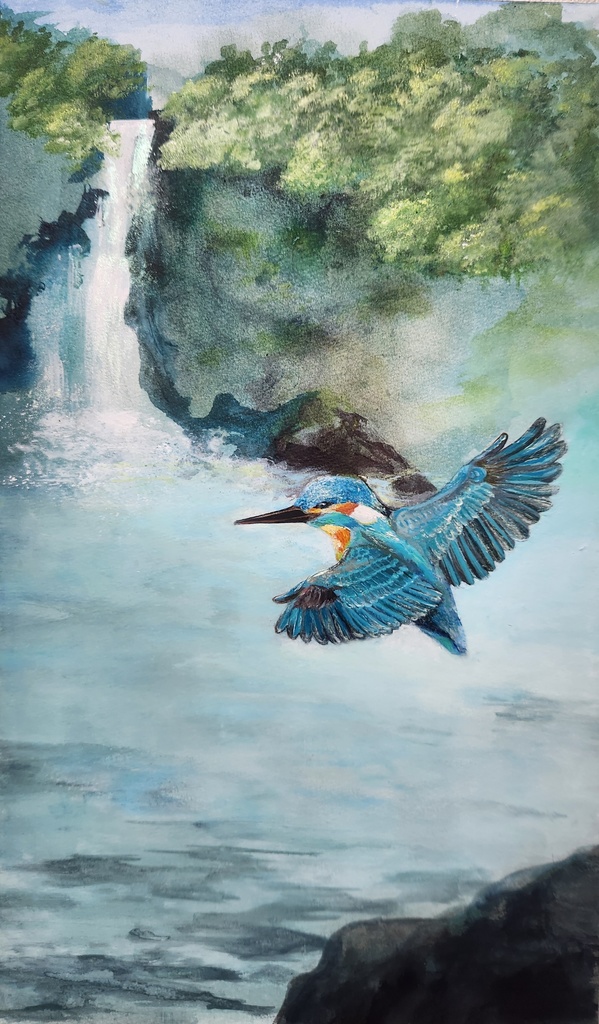 新緑のカワセミ