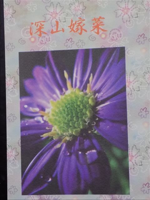 深山嫁菜（みやまよめな）