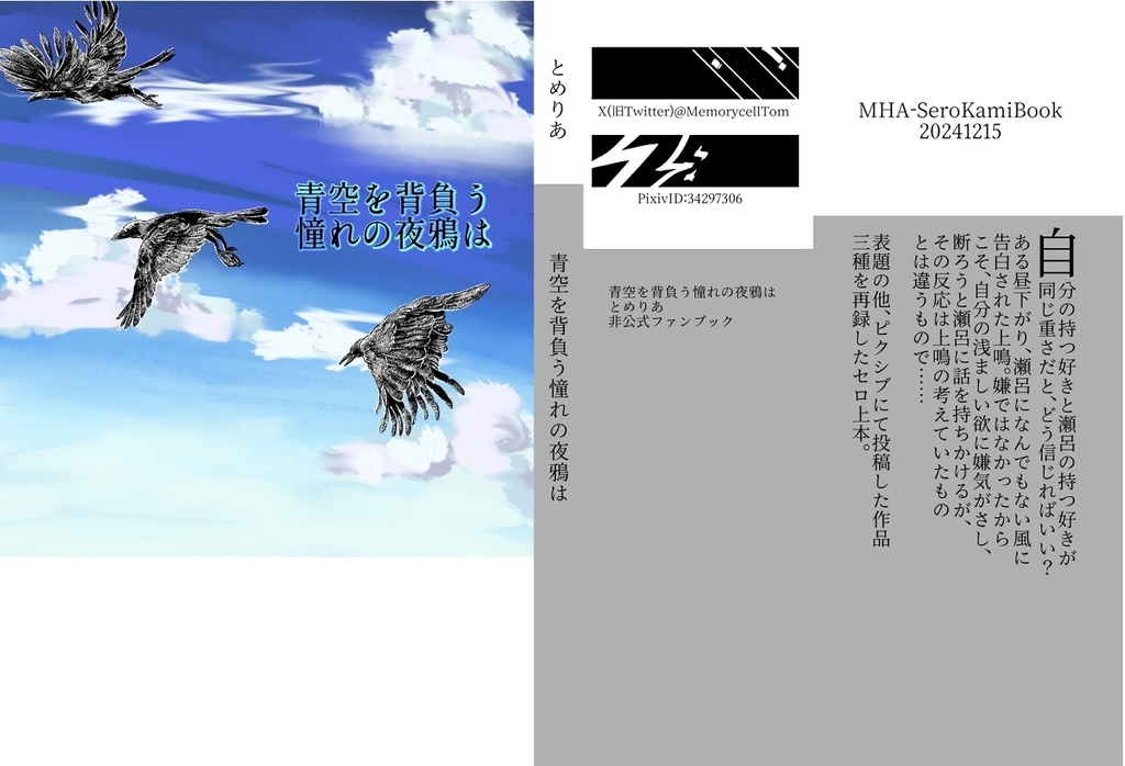 青空を背負う憧れの夜鴉は