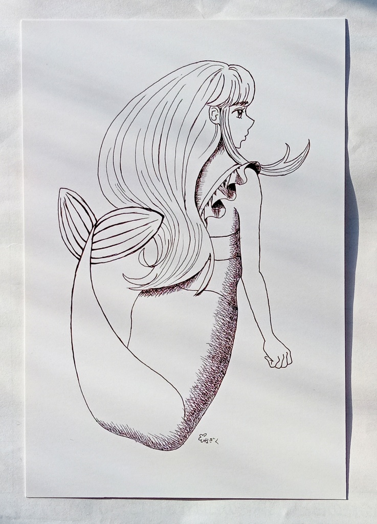 人魚　ポストカード（印刷）