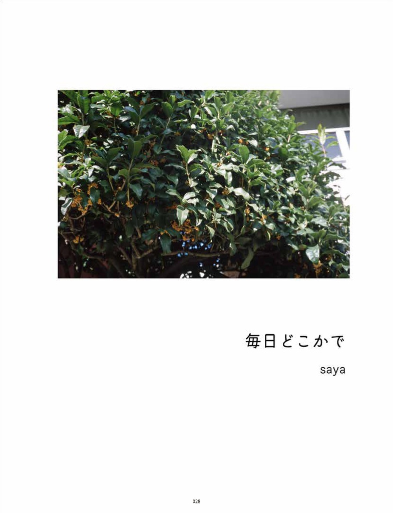 写真誌『しゃしんびより』