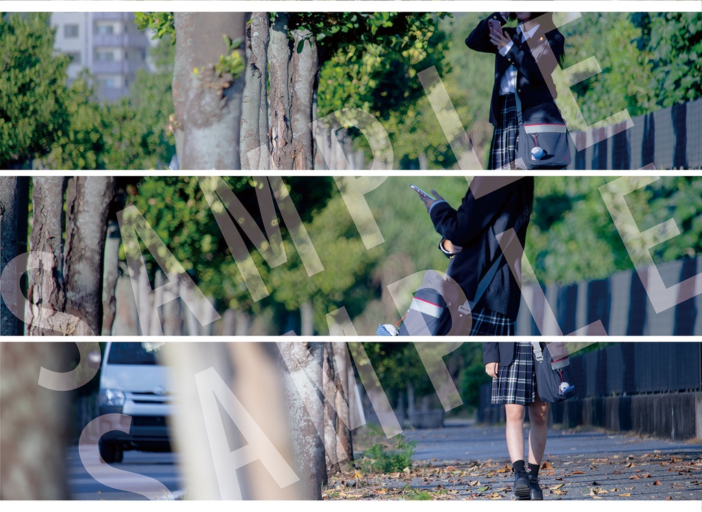 ChallengeCOIN -OperationRomeo-