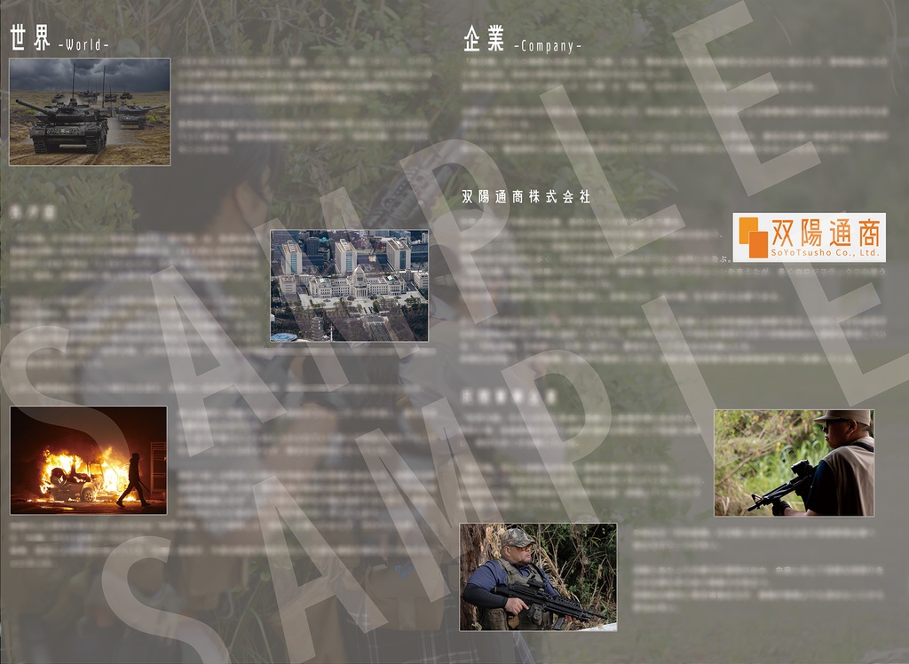 ChallengeCOIN -OperationRomeo-