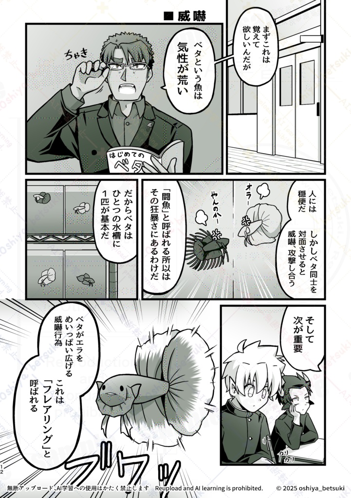 伝説生徒さん 闘魚(ベタ)を飼う