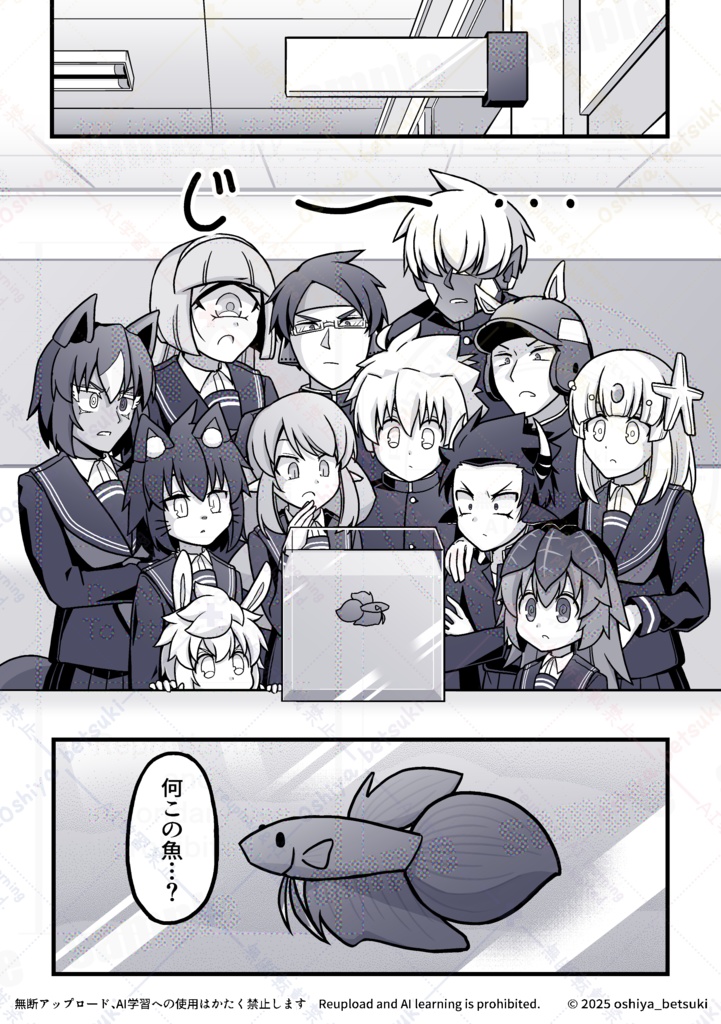 伝説生徒さん 闘魚(ベタ)を飼う