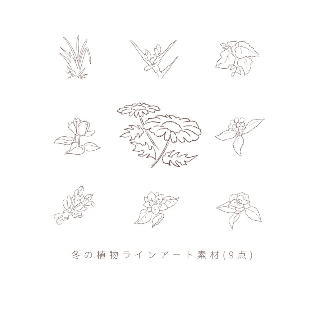 冬の植物ラインアート素材（9点）