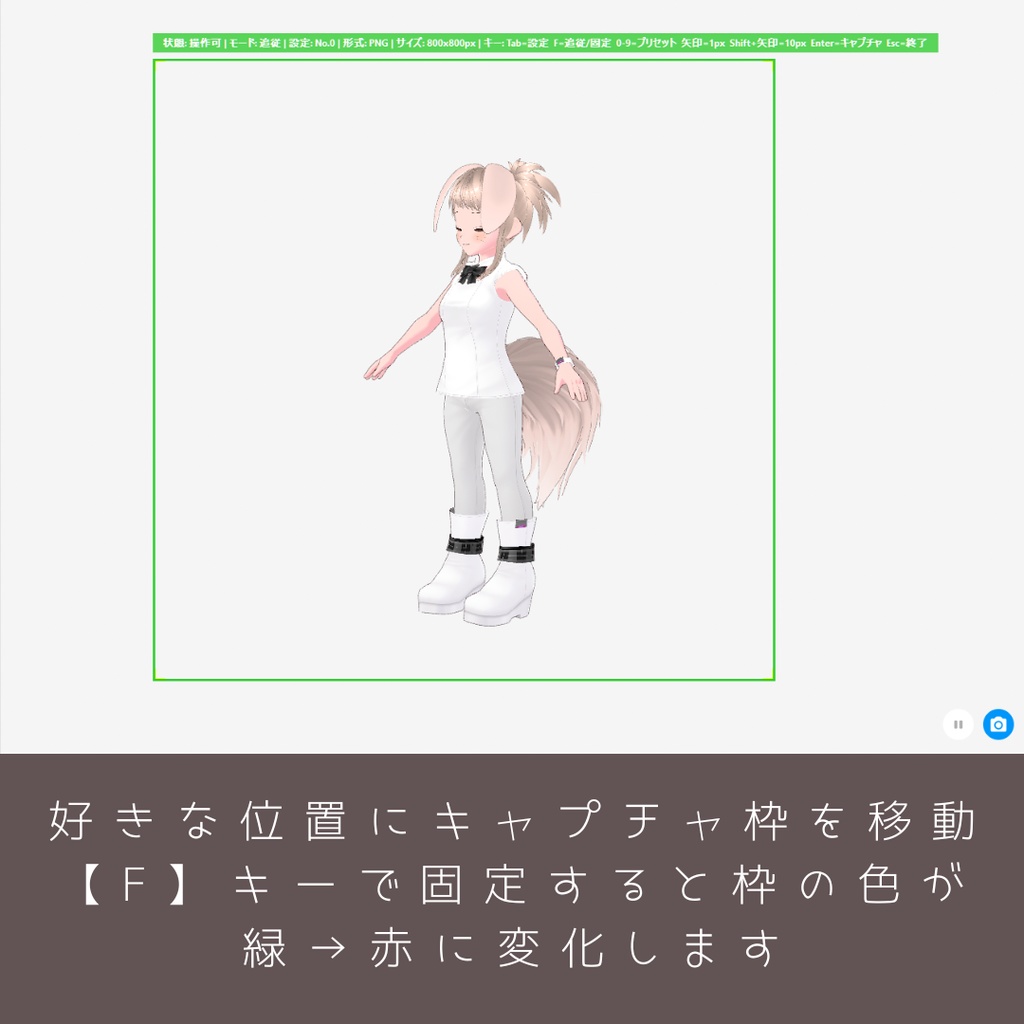 クッキー型みたいに決められた大きさでがんがん連続キャプチャするツール