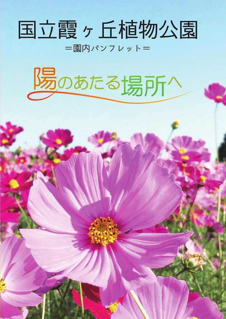[謎解き] 陽のあたる場所へ