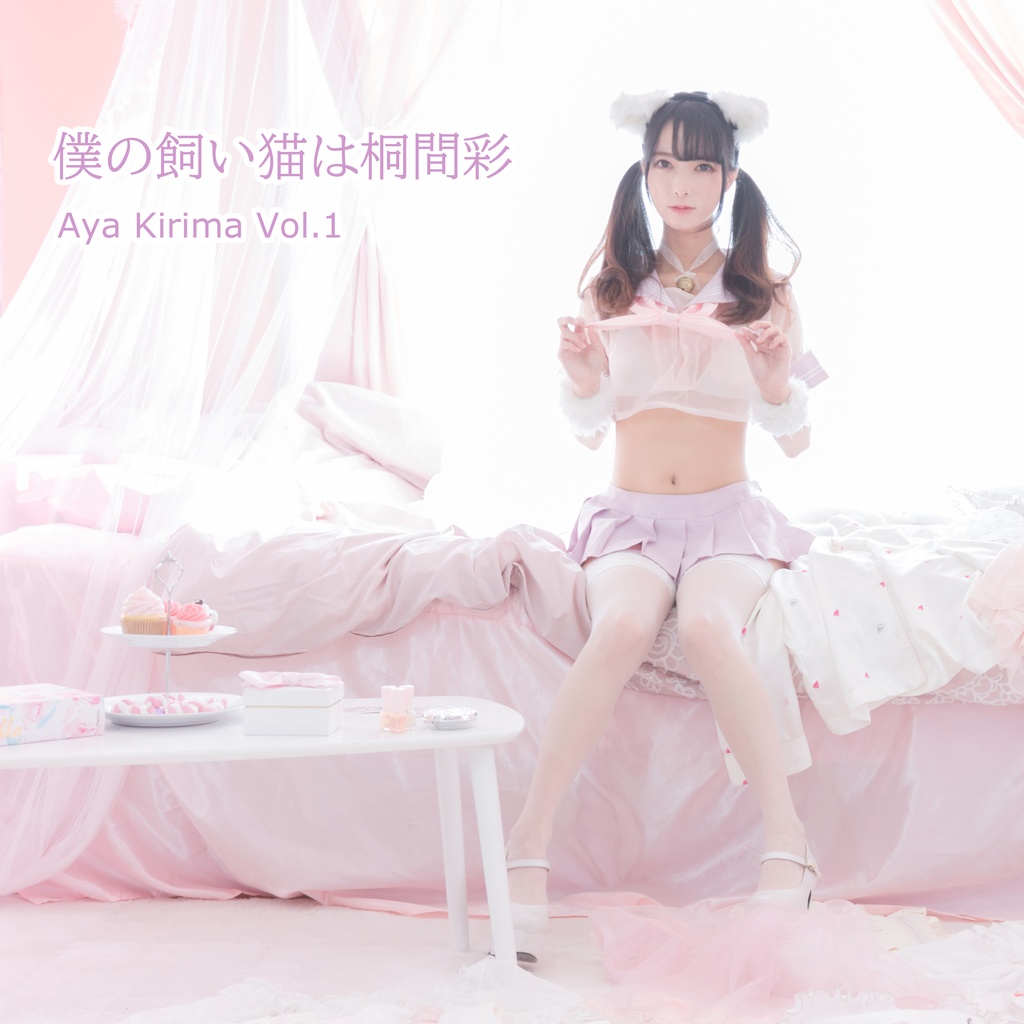 僕の飼い猫は桐間彩(ROM)