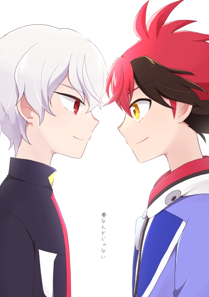 【ヒイルシ】夢なんかじゃない