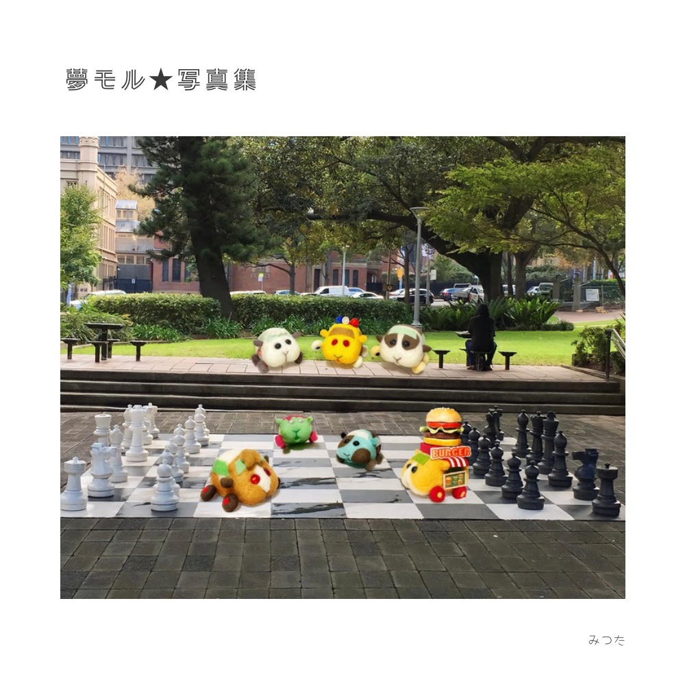 既刊「夢モル☆写真集」