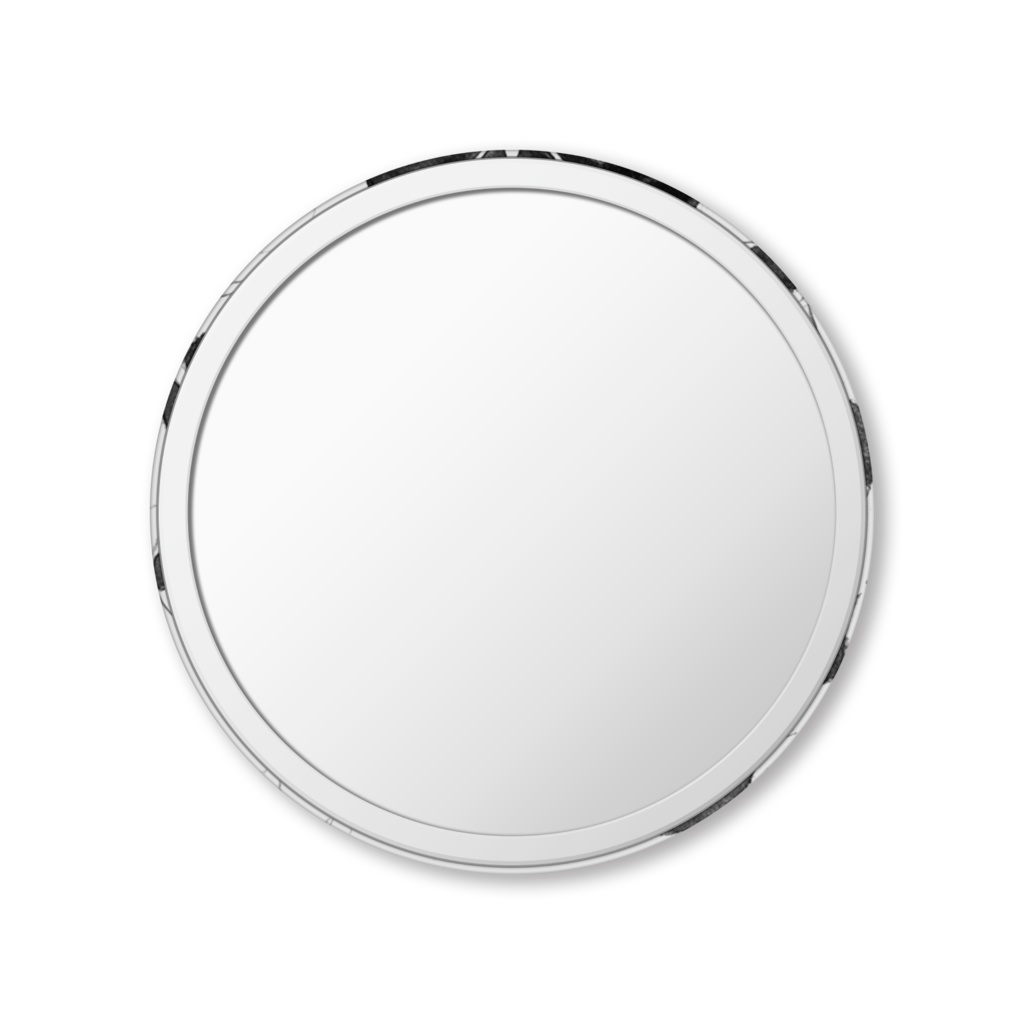 缶ミラー 蚕蛾さんの繭ごもり