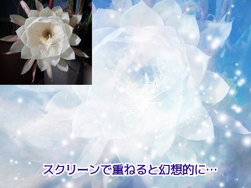 水彩テクスチャ