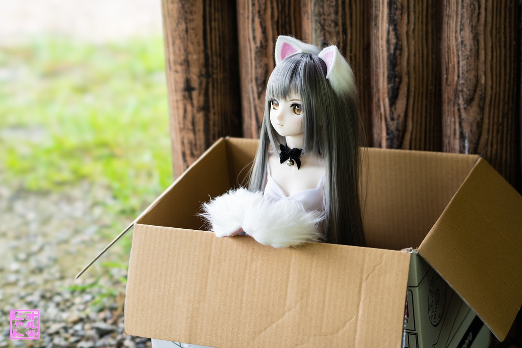 にゃんこセット　白　60cm用
