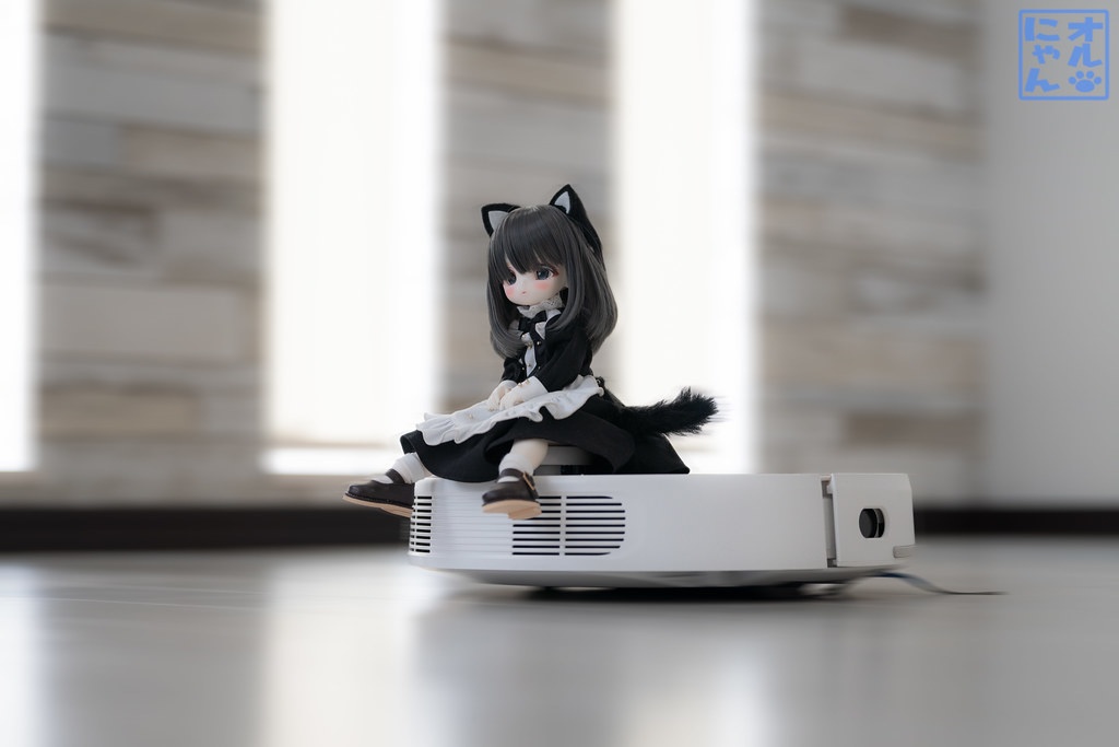 にゃんこセット(黒) 30cmサイズ