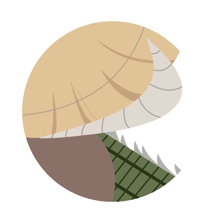 十二戦士缶バッジ【未】