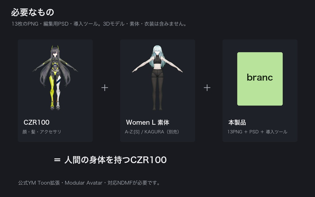 【YMファンメイド】人肌ボディテクスチャ【CZR100向け / Women L】