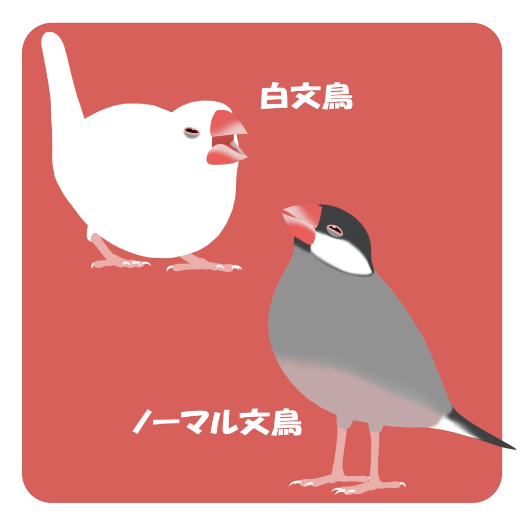 THE文鳥/オリジナル3Dモデル