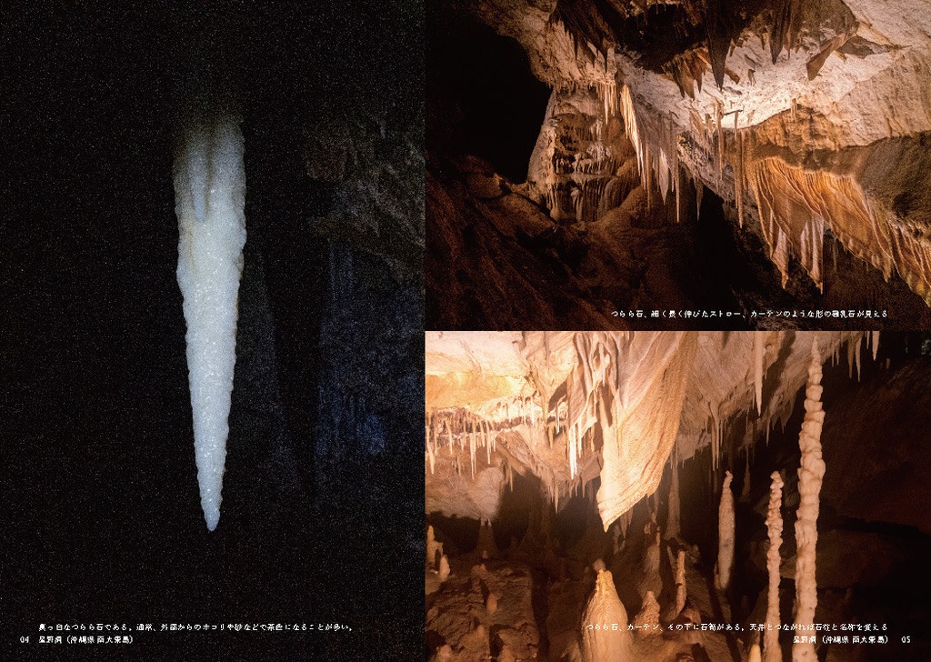 今、生きている鍾乳洞