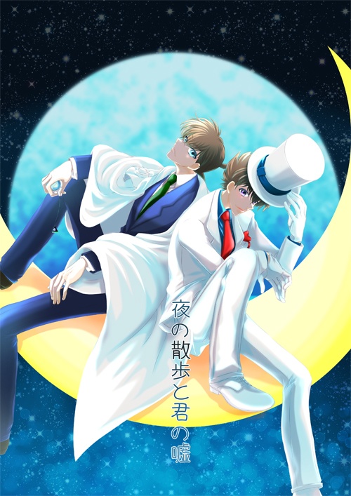 夜の散歩と君の嘘