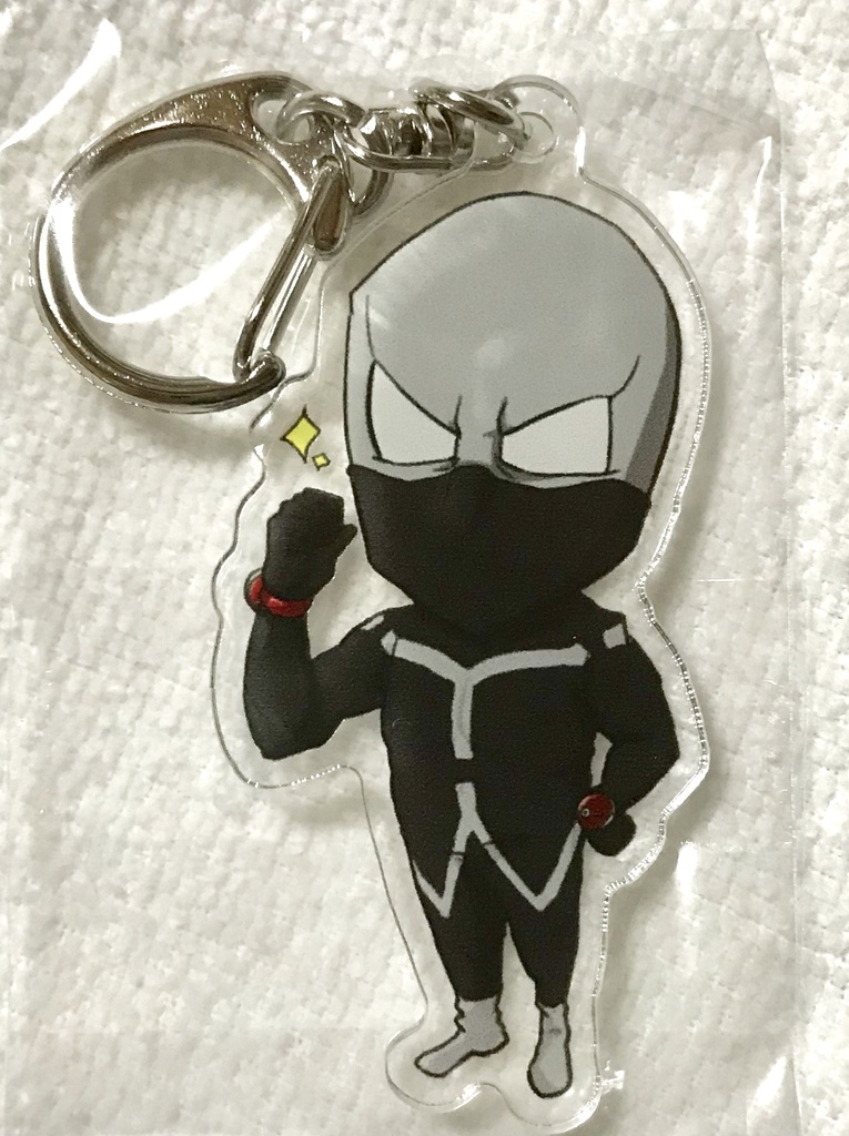 トゥワイス【アクキー】