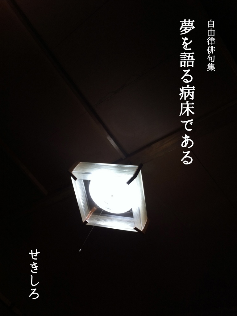 夢を語る病床である
