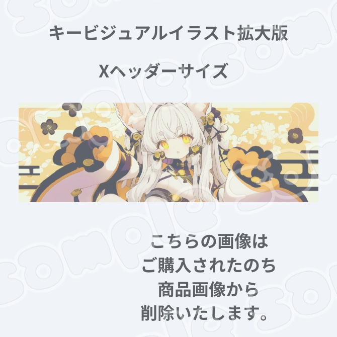 1点限定!IRIAM対応立ち絵&キービジュアル&シルエット