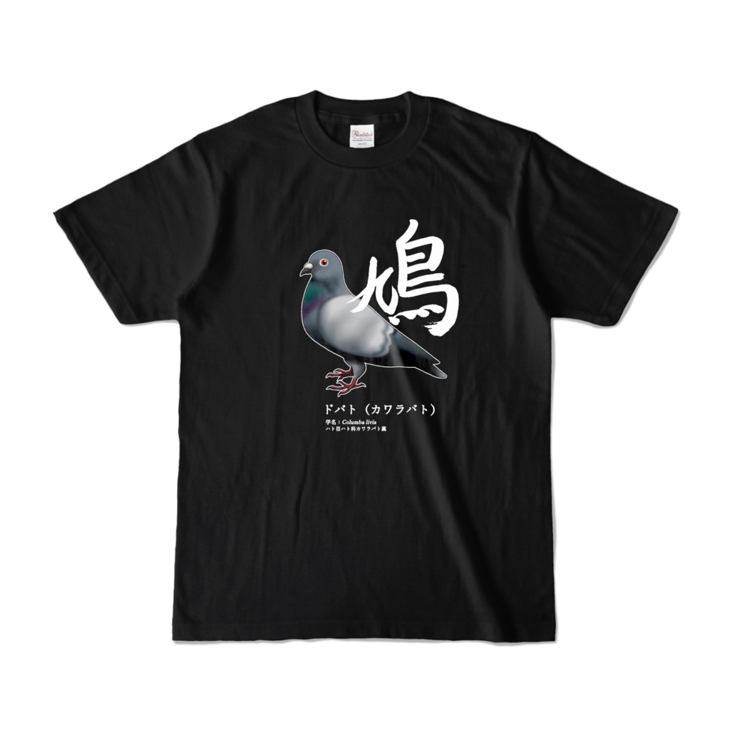 鳩Tシャツ(リアルめ鳩)
