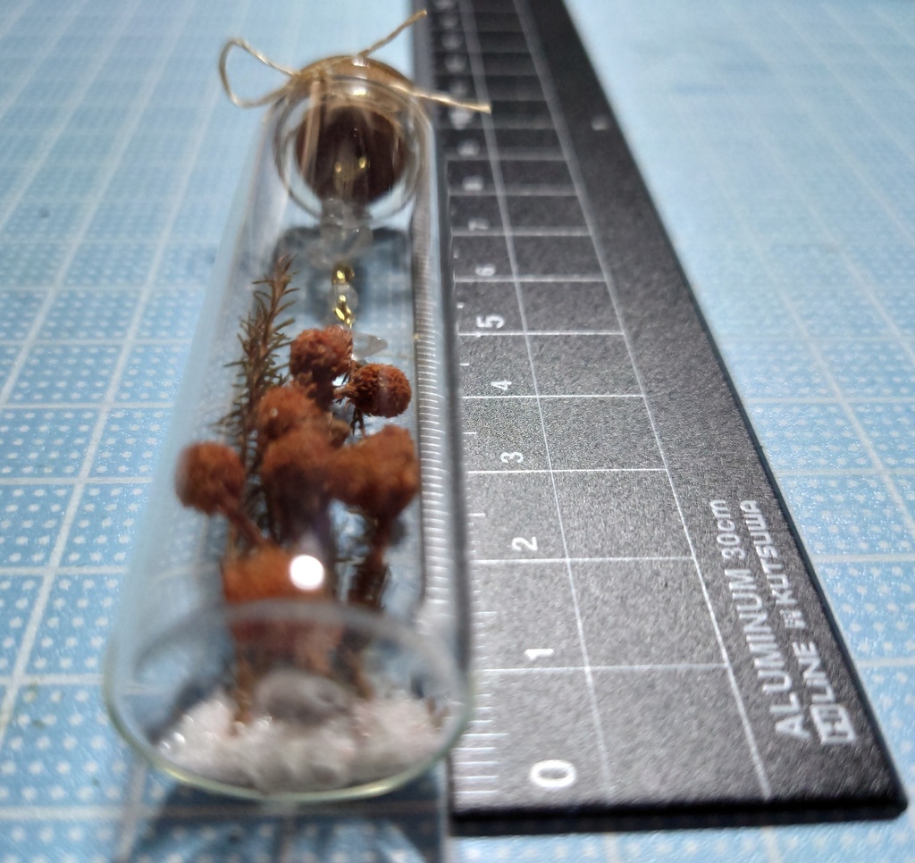 花と鉱石の標本/DB2_001(アウトレット)