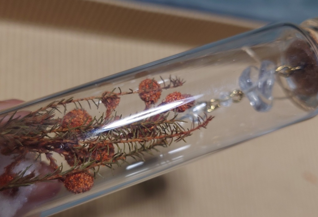 花と鉱石の標本/DB2_001(アウトレット)