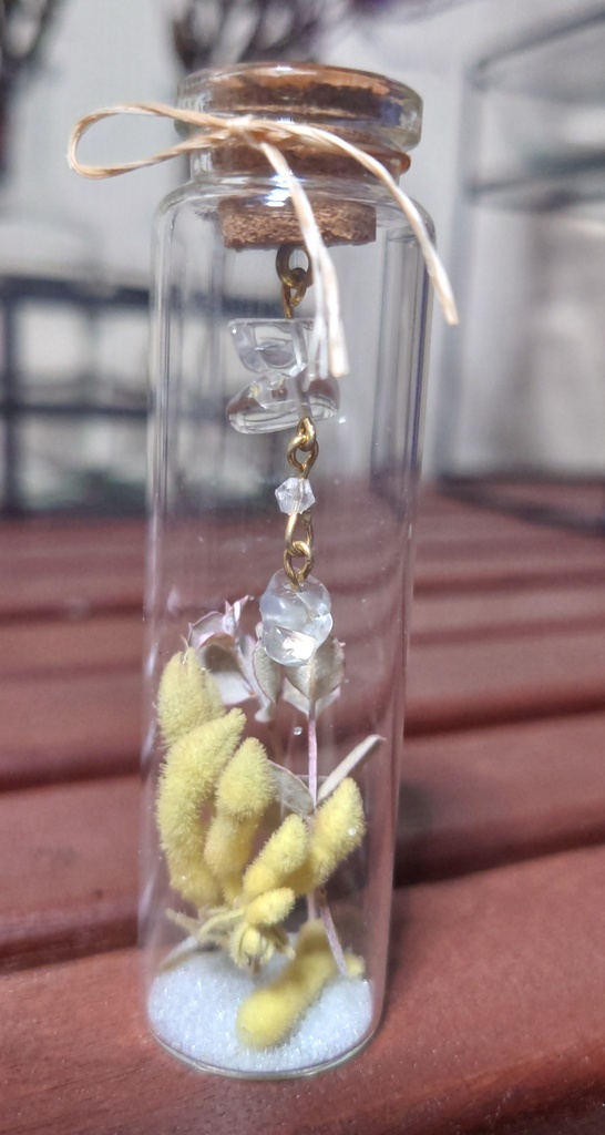 花と鉱石の標本/DB2_002(アウトレット)