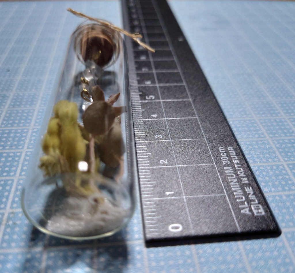 花と鉱石の標本/DB2_002(アウトレット)