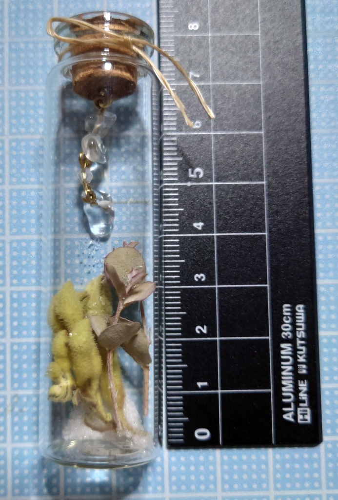 花と鉱石の標本/DB2_002(アウトレット)