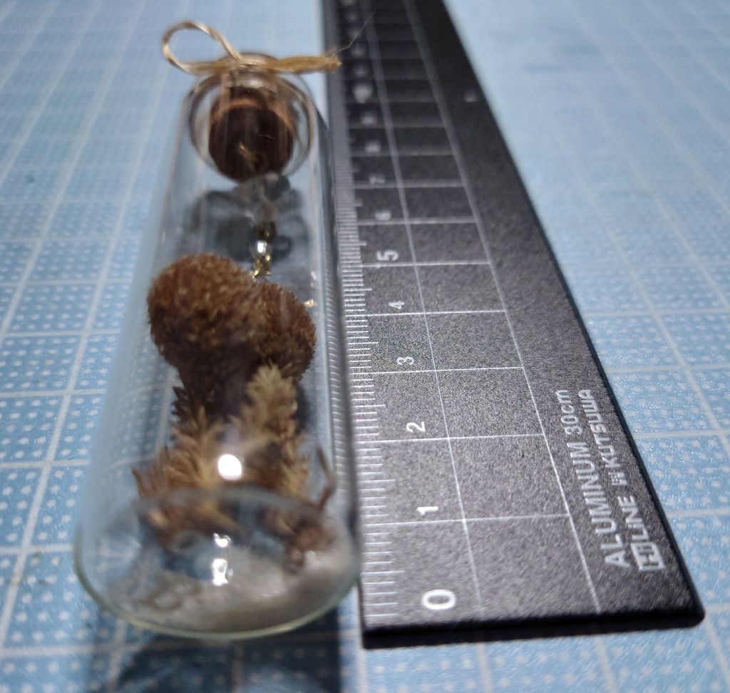 花と鉱石の標本/DB2_003(アウトレット)