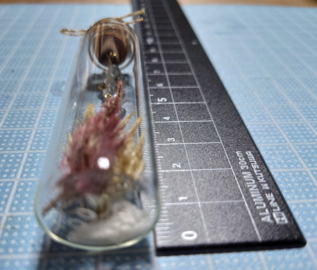 花と鉱石の標本/DB2_004(アウトレット)