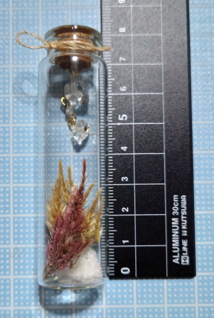 花と鉱石の標本/DB2_004(アウトレット)