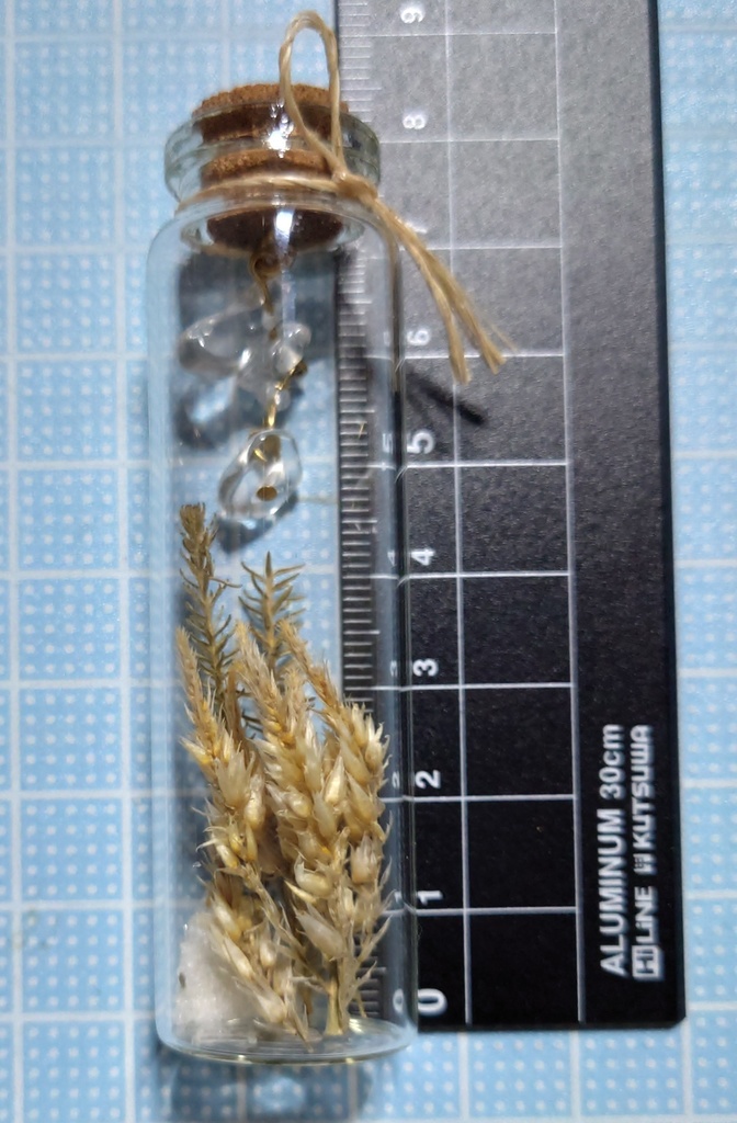 花と鉱石の標本/DB2_005(アウトレット)