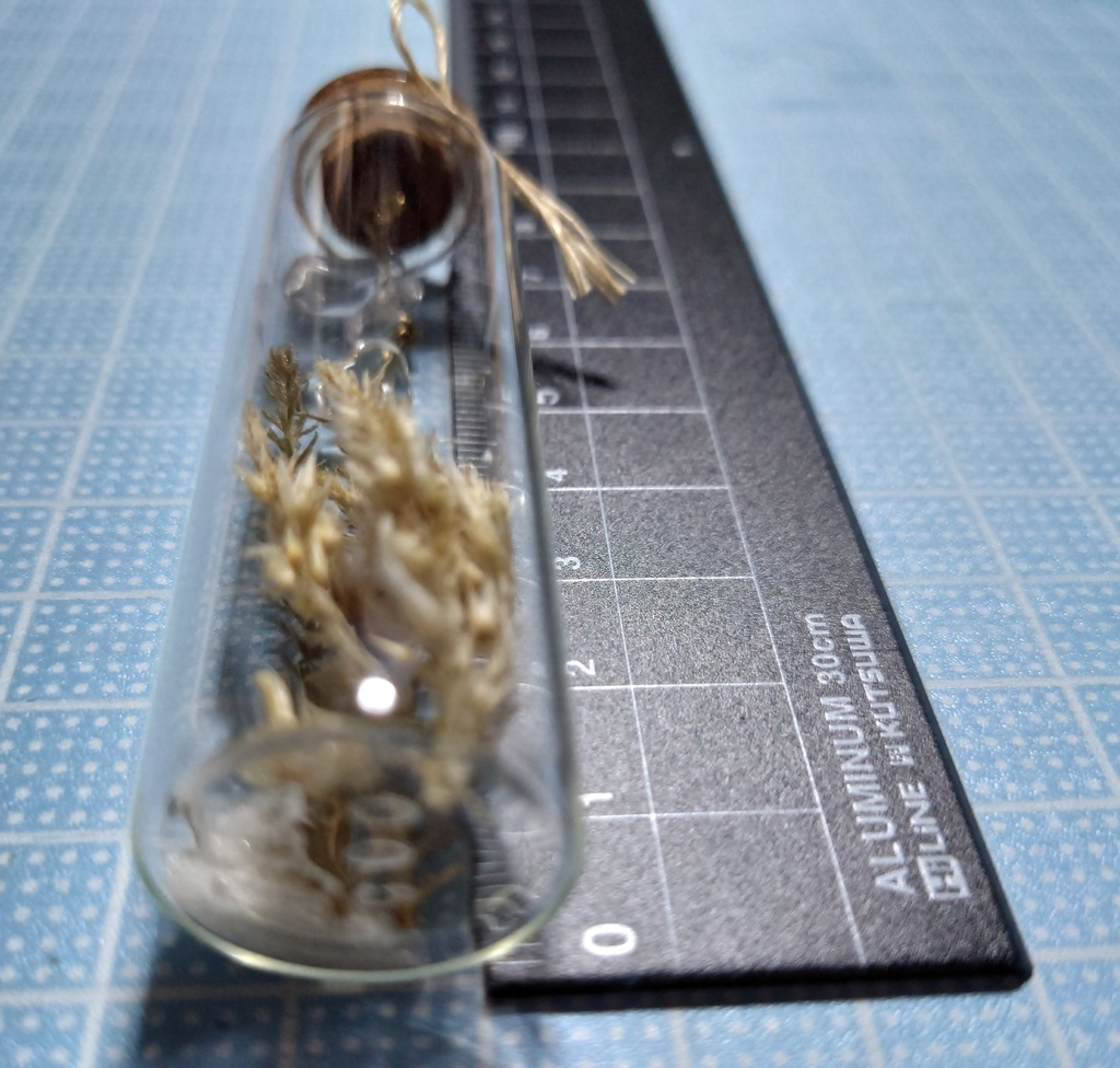 花と鉱石の標本/DB2_005(アウトレット)