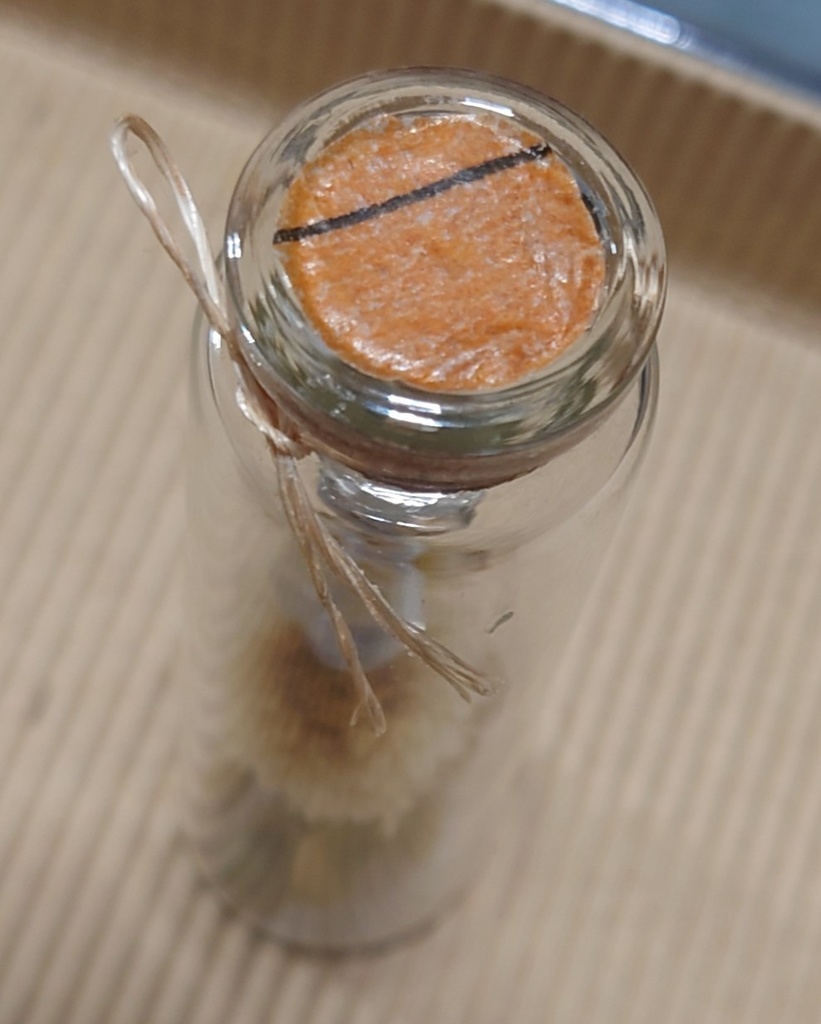 花と鉱石の標本/DB2_006(アウトレット)