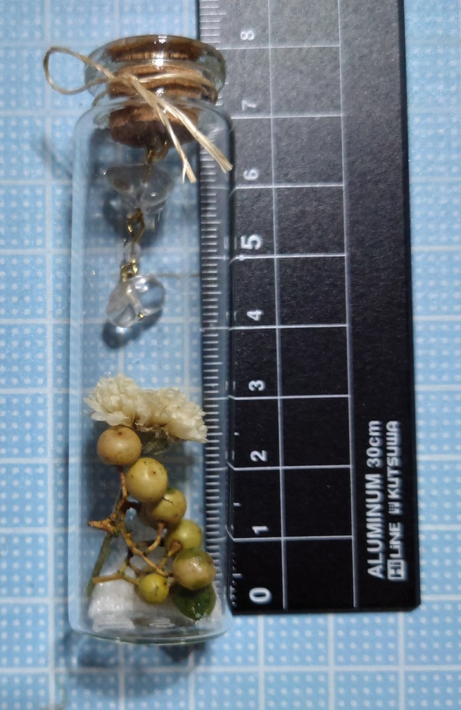 花と鉱石の標本/DB2_006(アウトレット)