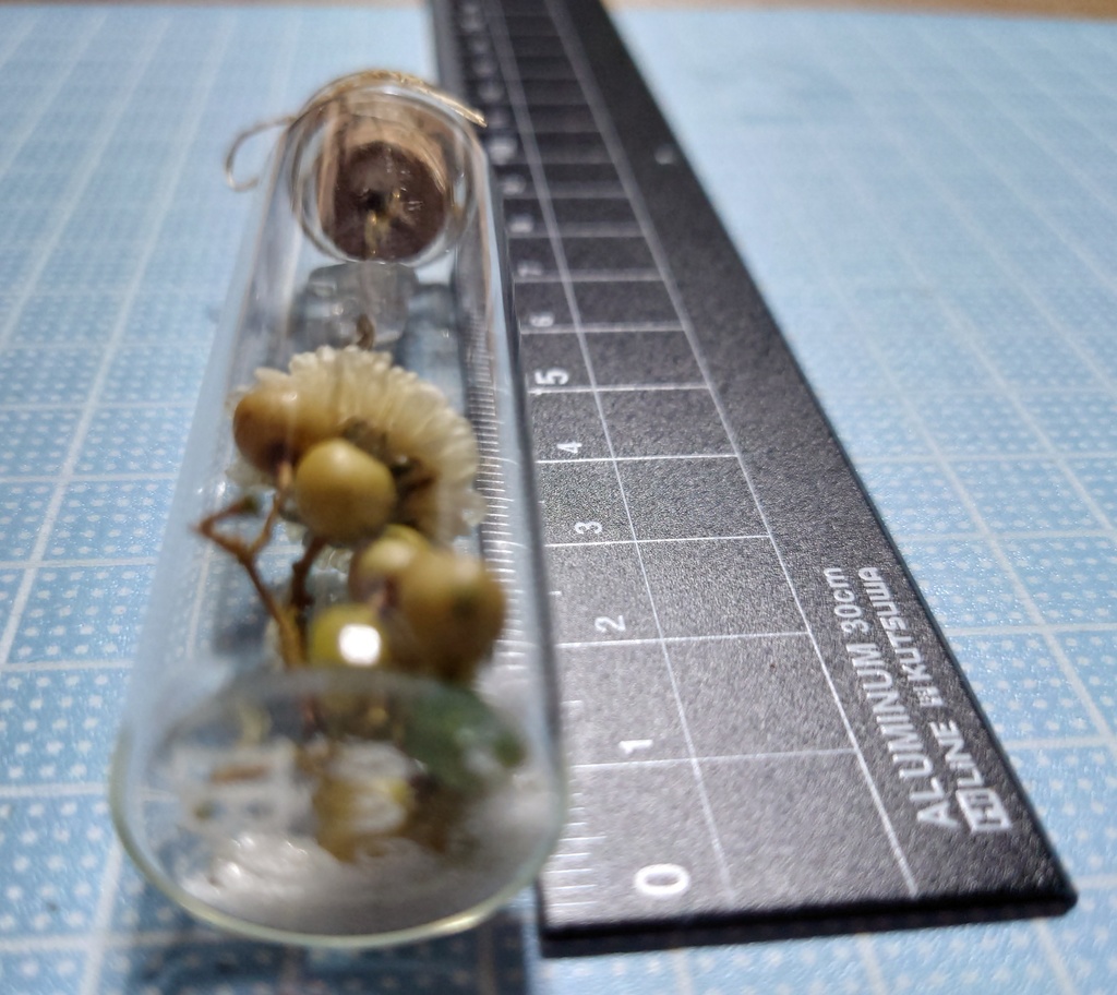 花と鉱石の標本/DB2_006(アウトレット)