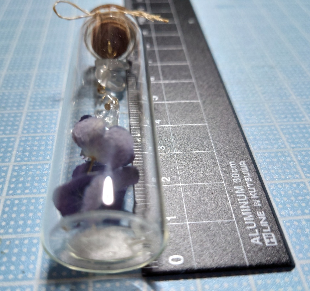 花と鉱石の標本/DB2_007(アウトレット)