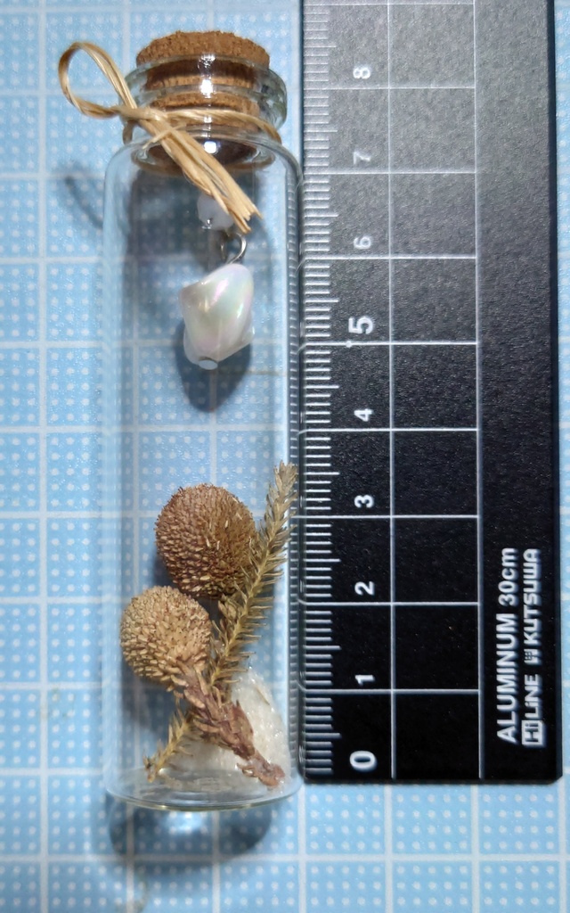 花と鉱石の標本/DB2_008(アウトレット)